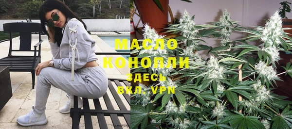 ГАЛЛЮЦИНОГЕННЫЕ ГРИБЫ Горняк