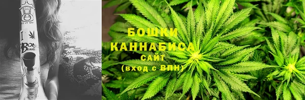ГАЛЛЮЦИНОГЕННЫЕ ГРИБЫ Горняк