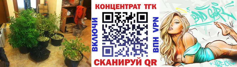 ТГК Wax  Дегтярск 