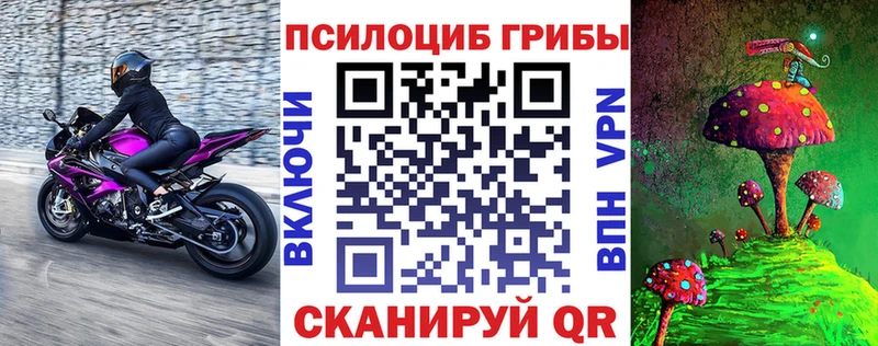 как найти наркотики  Дегтярск  Псилоцибиновые грибы Cubensis 